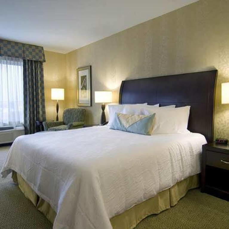 Hilton Garden Inn Detroit/Novi Dış mekan fotoğraf